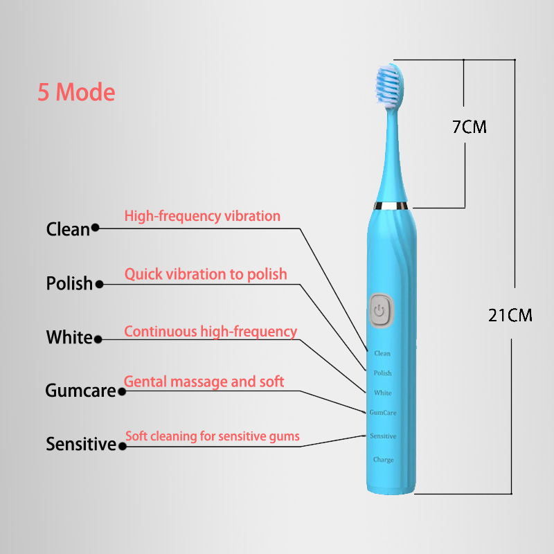 Elektrische Schallzahnbürste,  – Electric Toothbrush Sonic Bewertung und Preis