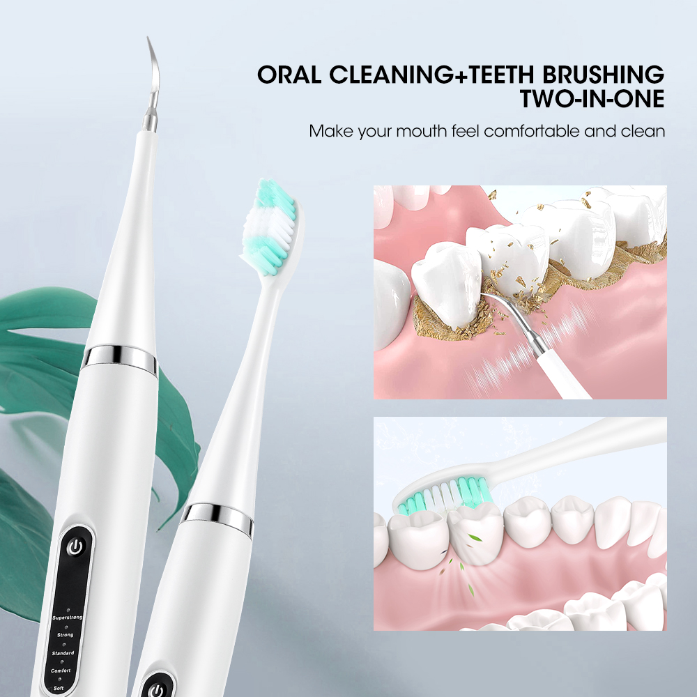 Elektrische Zähne Reiniger Son – Electric Toothbrush Sonic Bewertung und Preis